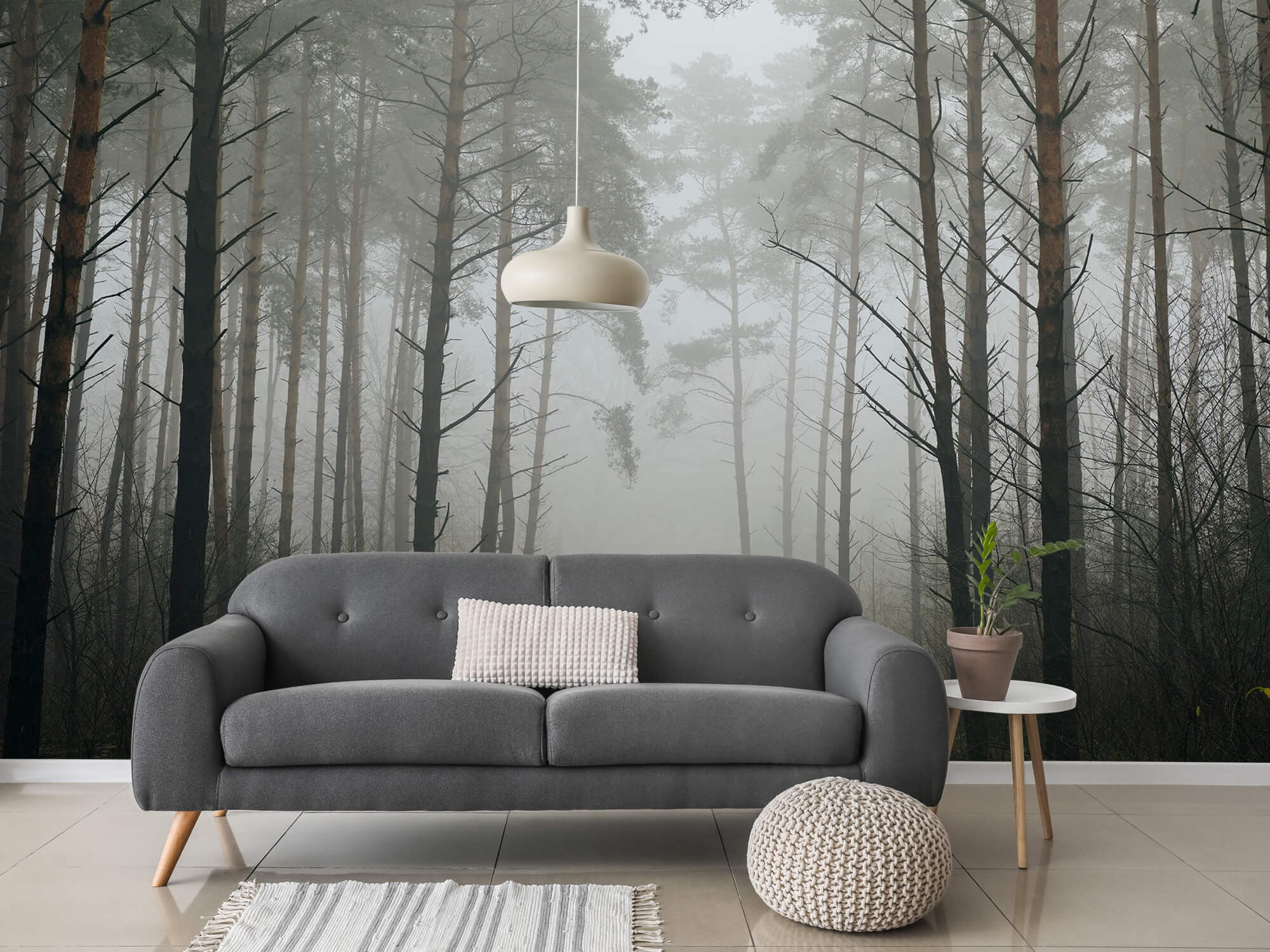 Naturaleza Papel pintado con Sendero en un bosque con niebla - Salón 2
