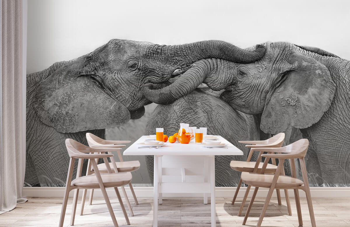  Papel pintado con Juego de elefantes - Salón 1