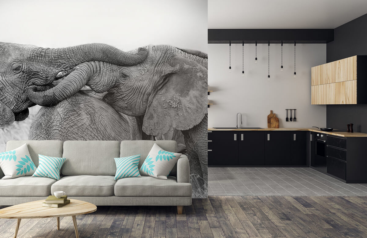  Papel pintado con Juego de elefantes - Salón 9