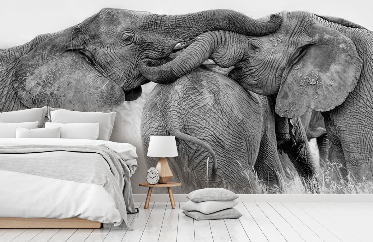  Papel pintado con Juego de elefantes - Salón 8
