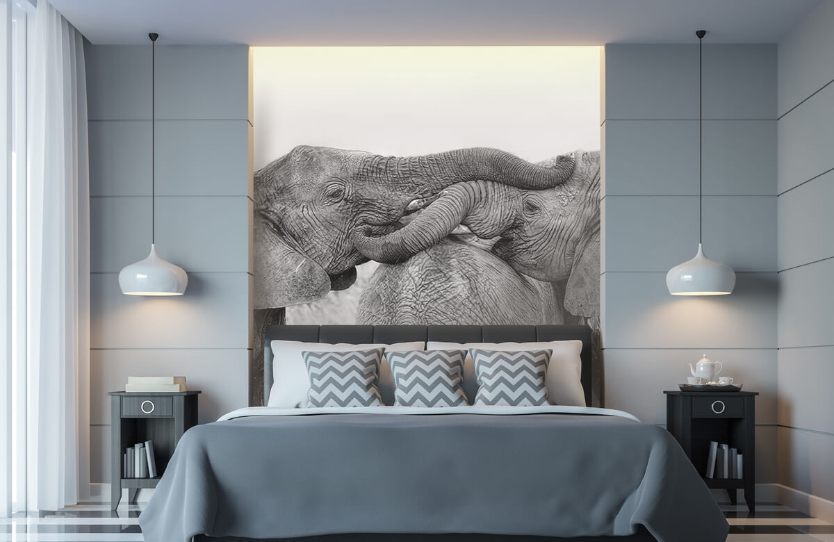  Papel pintado con Juego de elefantes - Salón 11