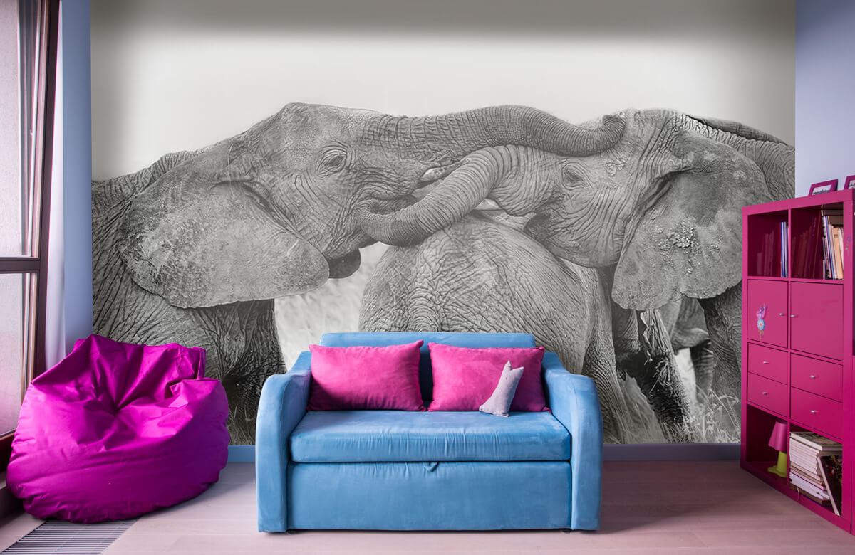  Papel pintado con Juego de elefantes - Salón 4