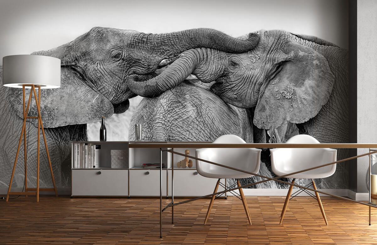  Papel pintado con Juego de elefantes - Salón 10