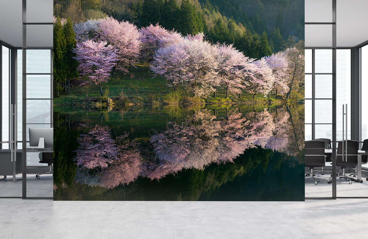 Landscape Papel pintado con Sakura - Salón 6