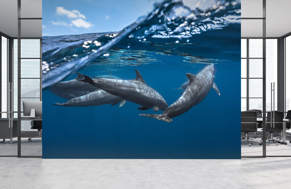 Underwater Papel pintado con Delfines - Habitación de los niños 6