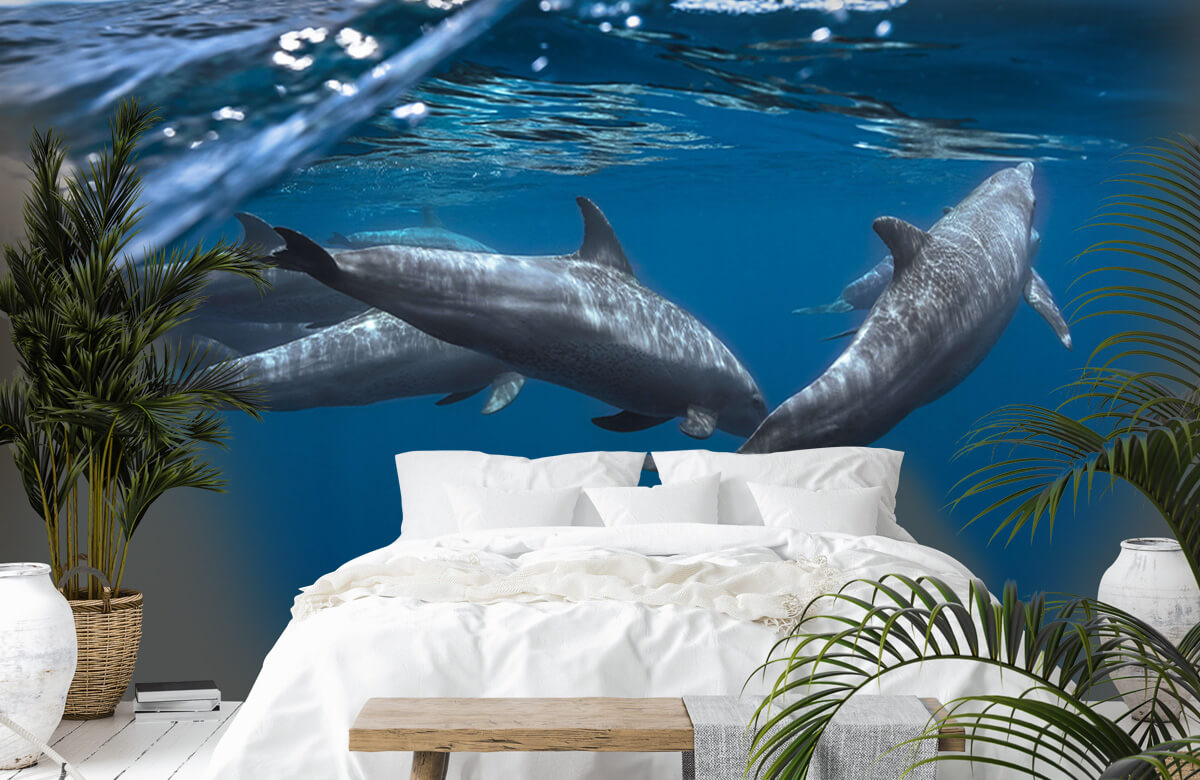 Underwater Papel pintado con Delfines - Habitación de los niños 3