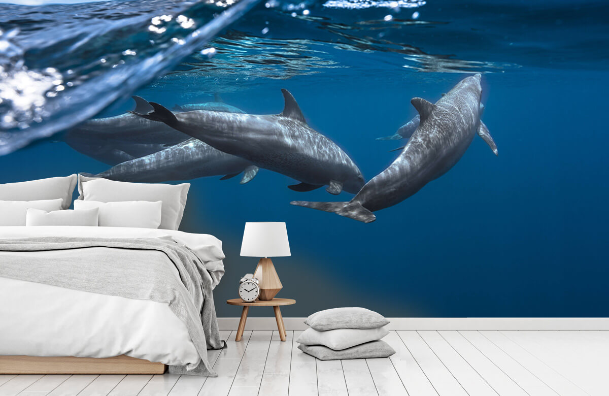 Underwater Papel pintado con Delfines - Habitación de los niños 8