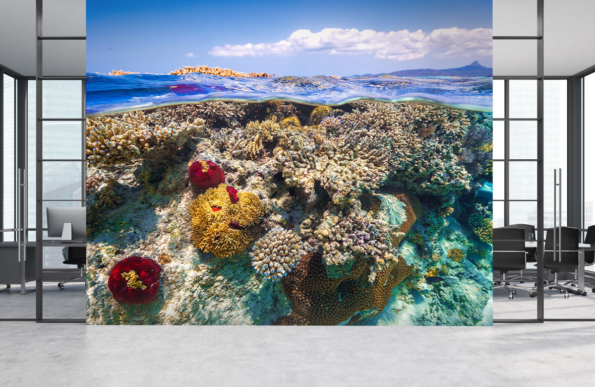 Underwater Papel pintado con Mayotte : El Arrecife - Salón 8