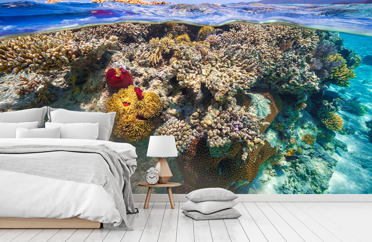 Underwater Papel pintado con Mayotte : El Arrecife - Salón 4