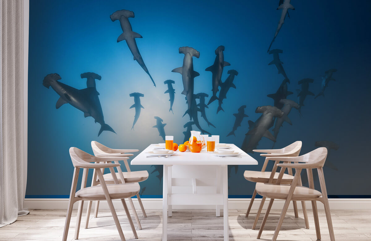 Underwater Papel pintado con Tiburón martillo - Fotografía submarina - Habitación de adolescentes 4