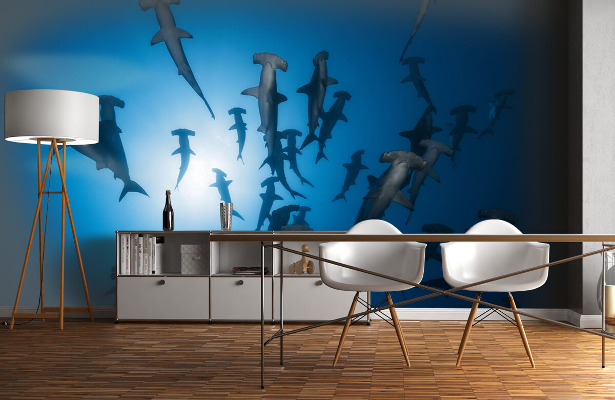 Underwater Papel pintado con Tiburón martillo - Fotografía submarina - Habitación de adolescentes 2