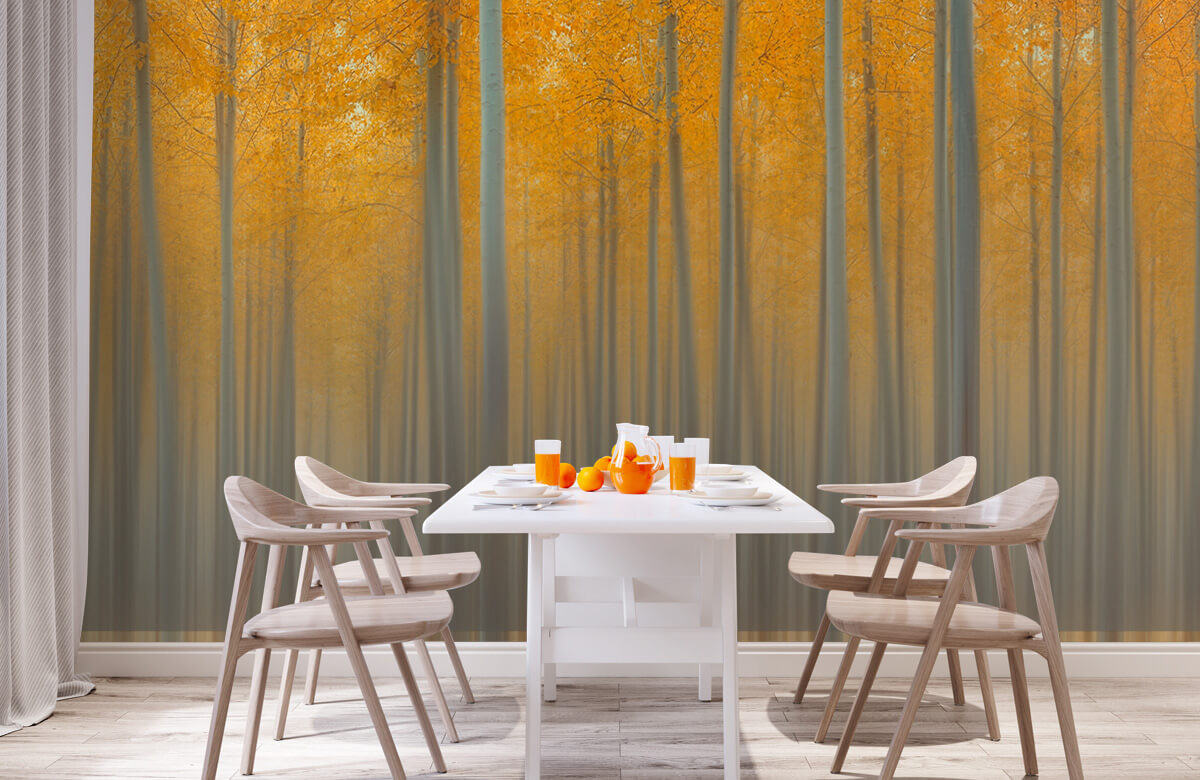 Creative-edit Papel pintado con Luz de otoño - Habitación 2