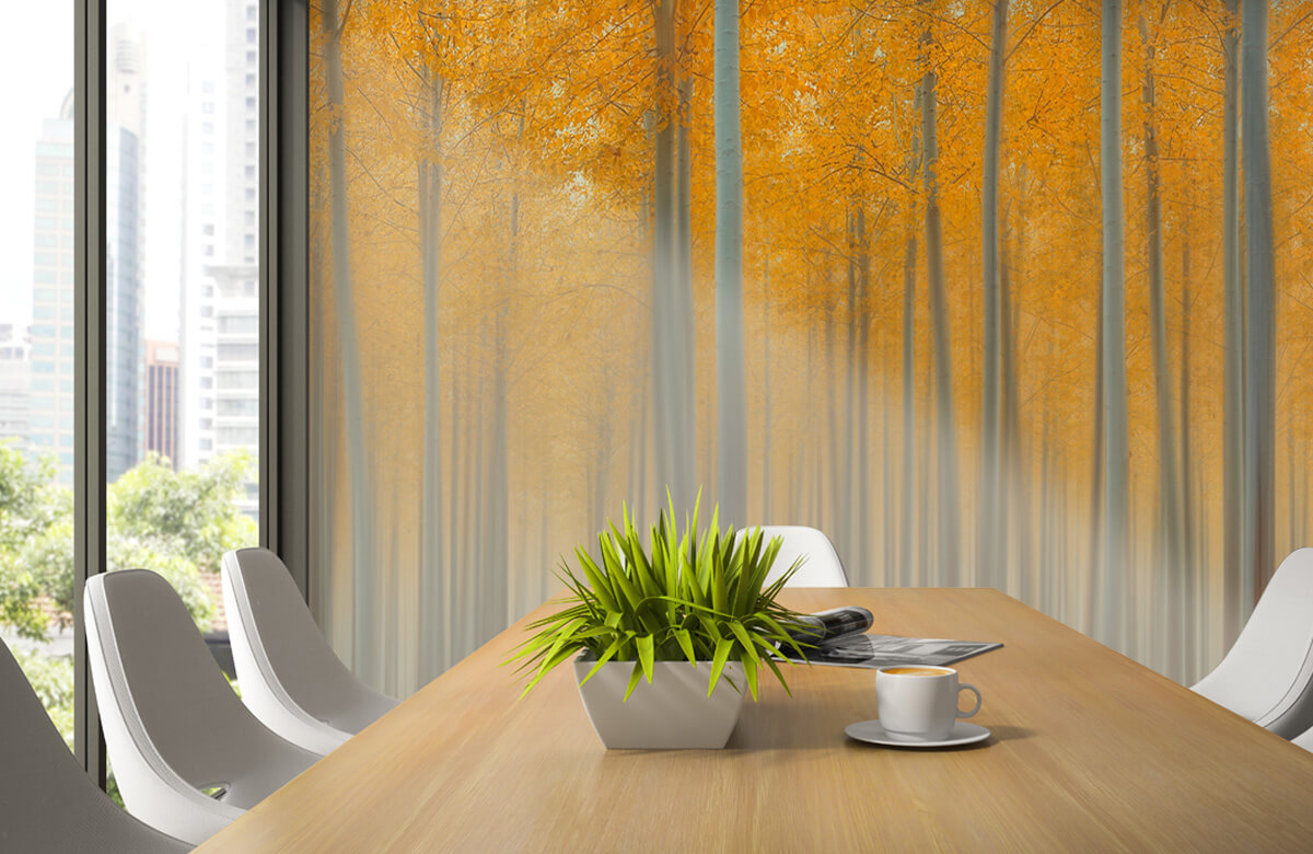 Creative-edit Papel pintado con Luz de otoño - Habitación 4