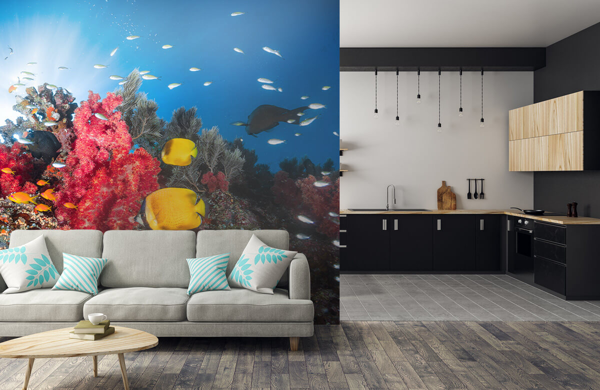 Underwater Papel pintado con Vida en los arrecifes - Habitación de adolescentes 9
