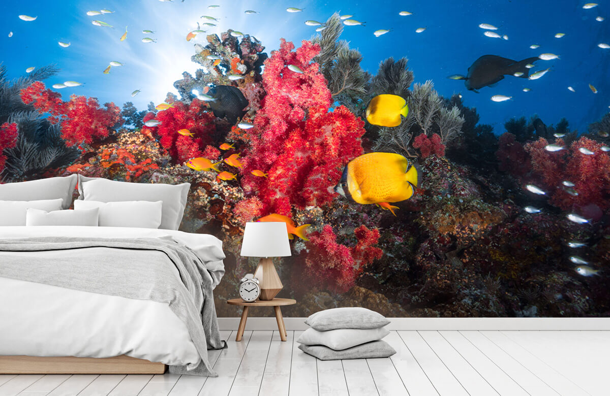 Underwater Papel pintado con Vida en los arrecifes - Habitación de adolescentes 10