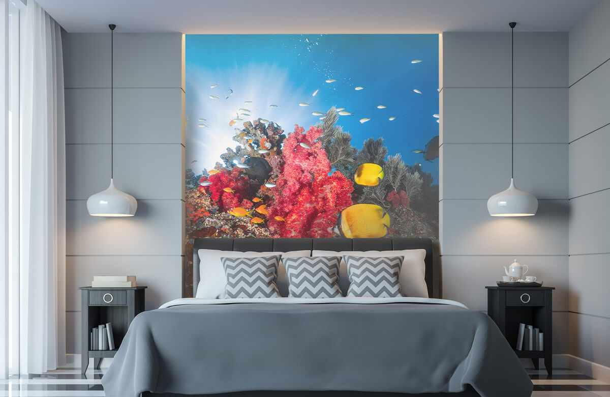 Underwater Papel pintado con Vida en los arrecifes - Habitación de adolescentes 6