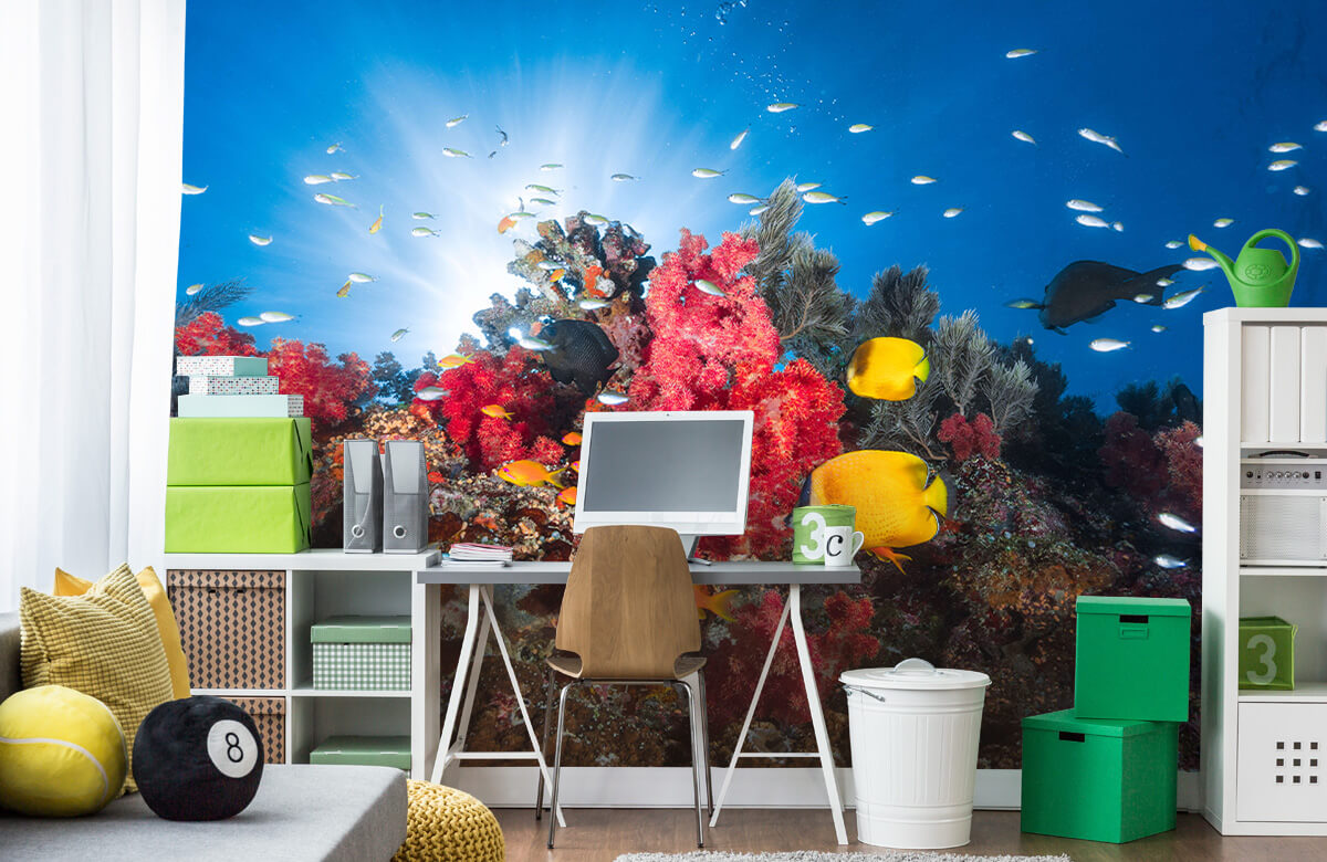 Underwater Papel pintado con Vida en los arrecifes - Habitación de adolescentes 11