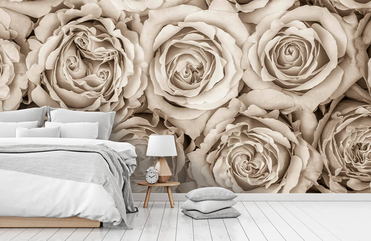  Papel pintado con Antecedentes de las rosas - Habitación 11