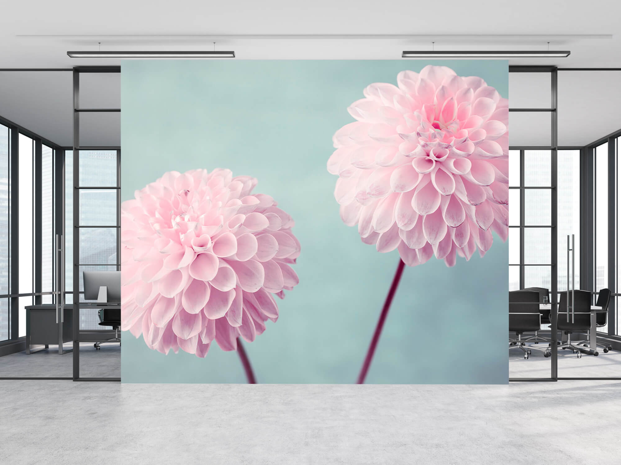  Papel pintado con Dos flores de Dalia - Habitación 12