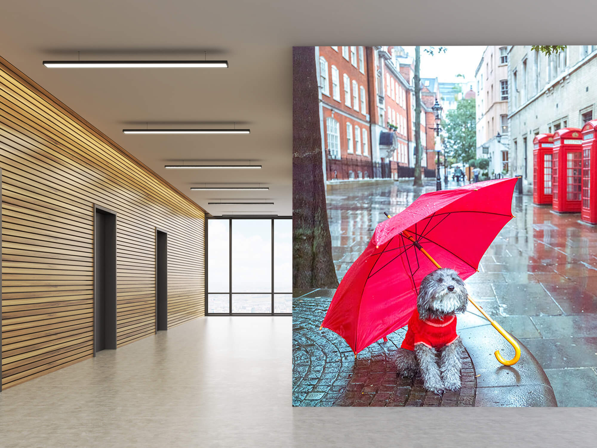  Papel pintado con Perro con paraguas - Habitación de adolescentes 6