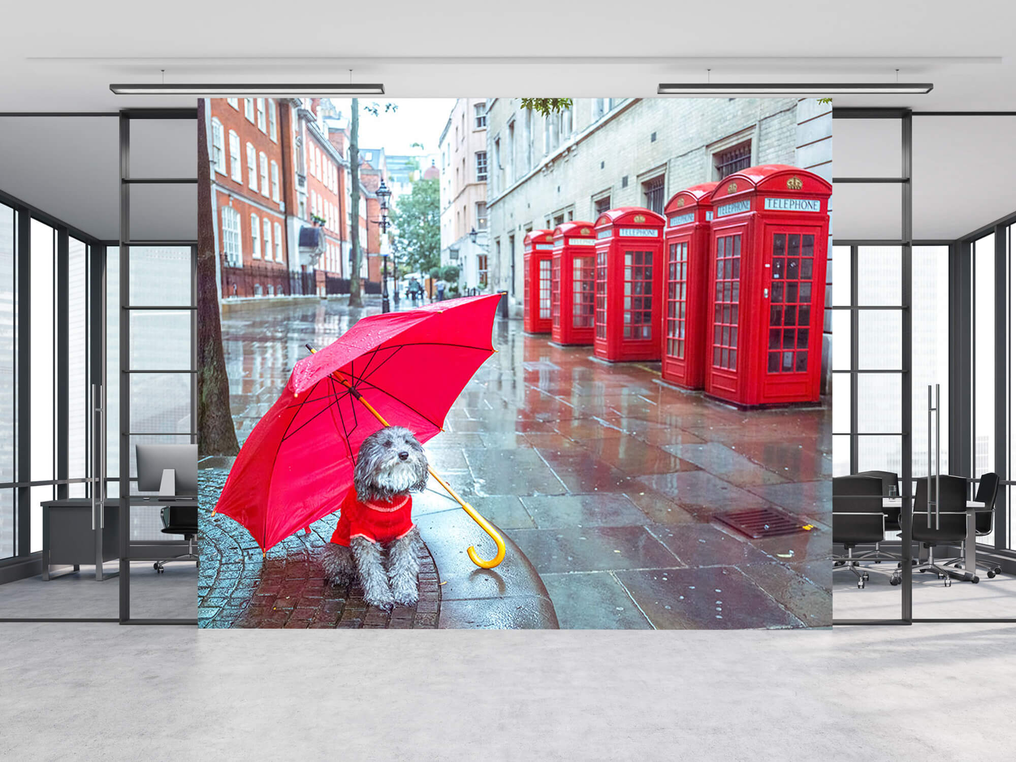  Papel pintado con Perro con paraguas - Habitación de adolescentes 2