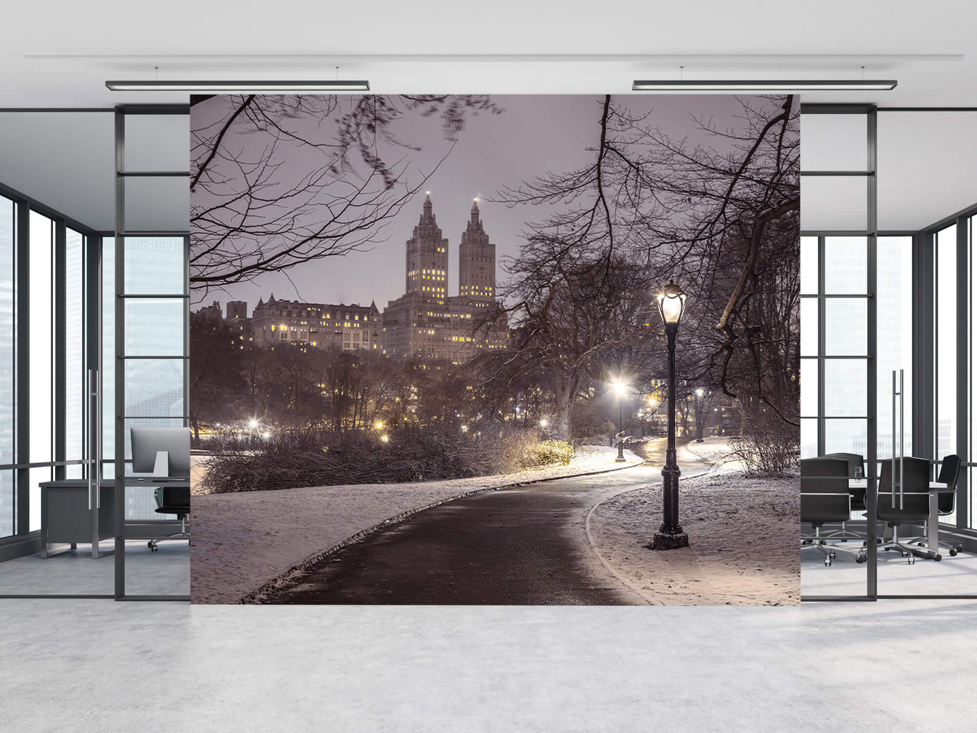  Papel pintado con Central Park nevado - Salón 10