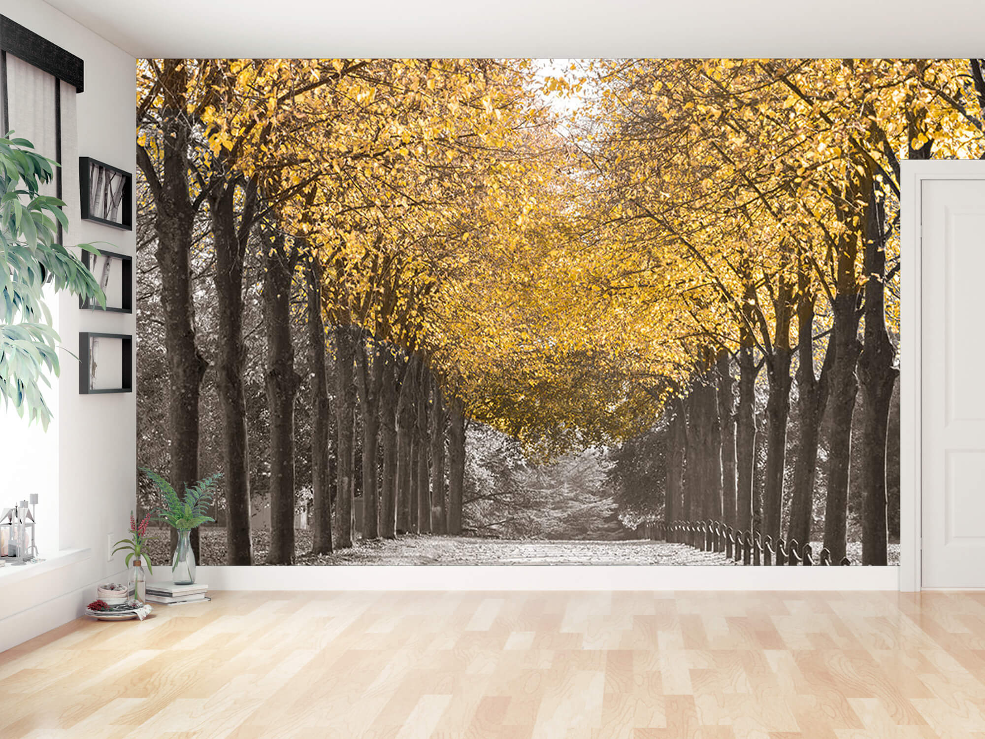  Papel pintado con Camino entre los árboles - Salón 15