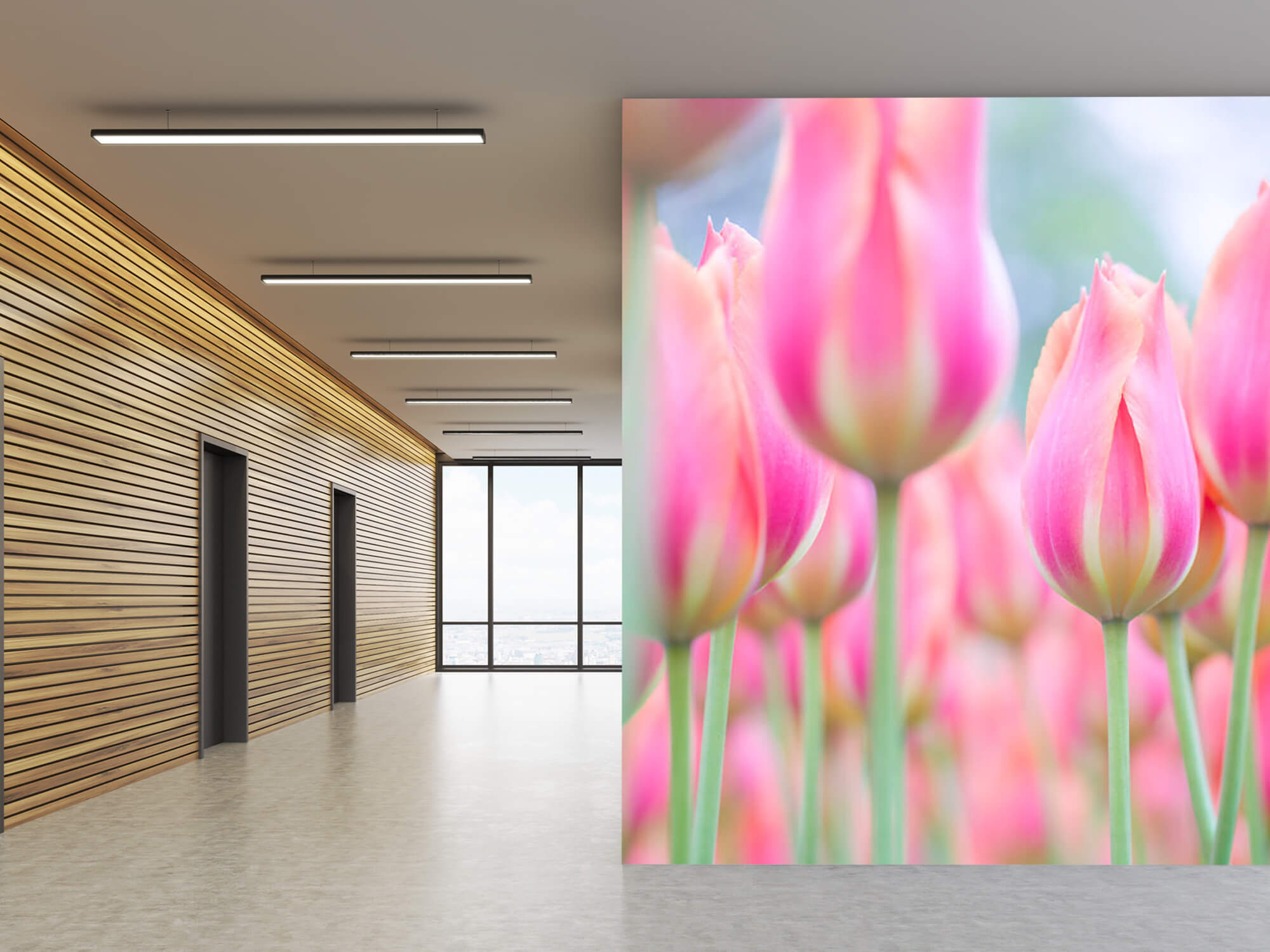  Papel pintado con Primer plano de tulipanes rosas - Pasillo 8