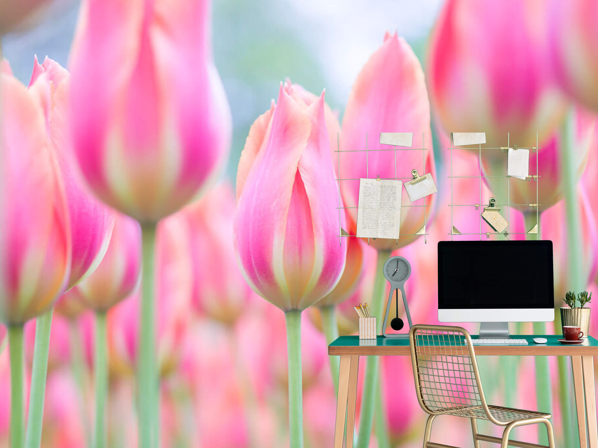  Papel pintado con Primer plano de tulipanes rosas - Pasillo 4