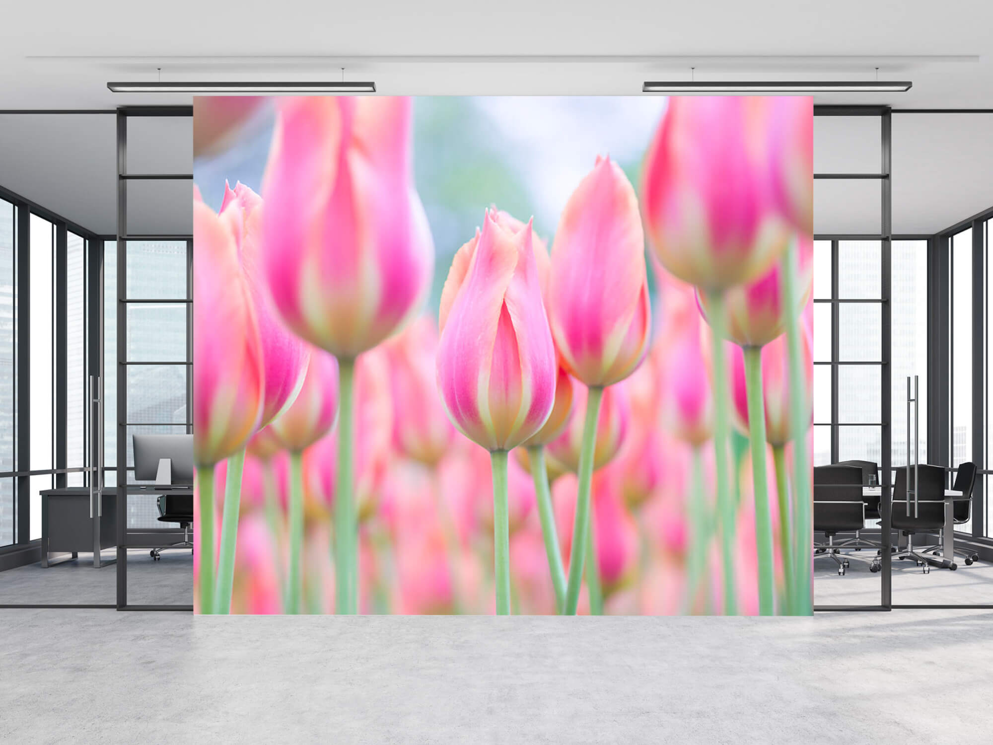  Papel pintado con Primer plano de tulipanes rosas - Pasillo 11