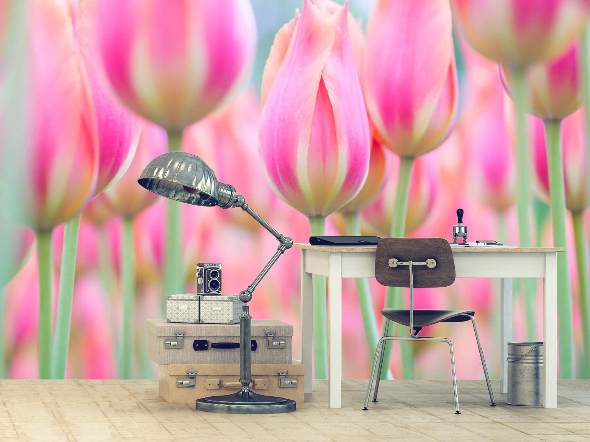  Papel pintado con Primer plano de tulipanes rosas - Pasillo 12