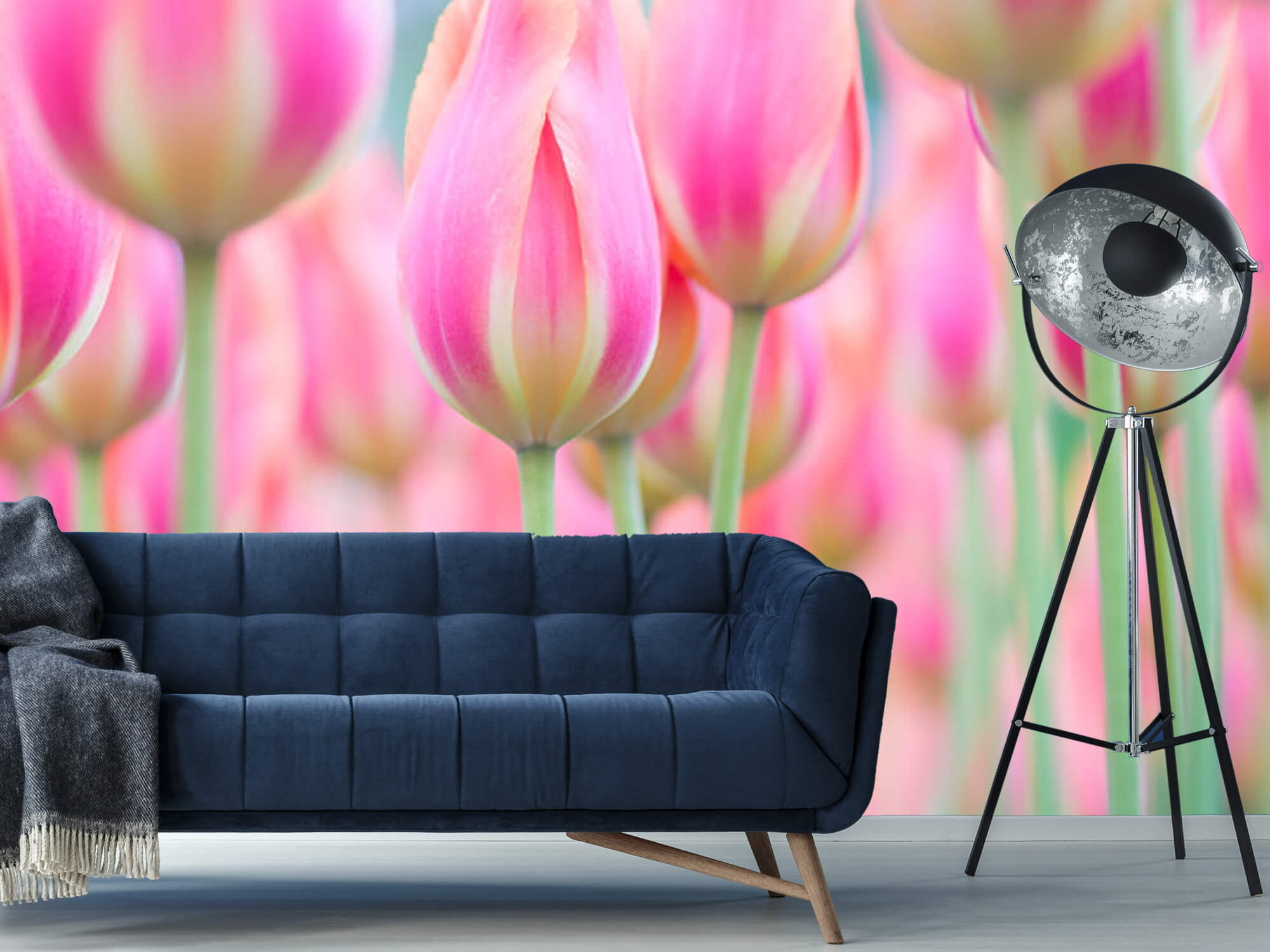  Papel pintado con Primer plano de tulipanes rosas - Pasillo 5