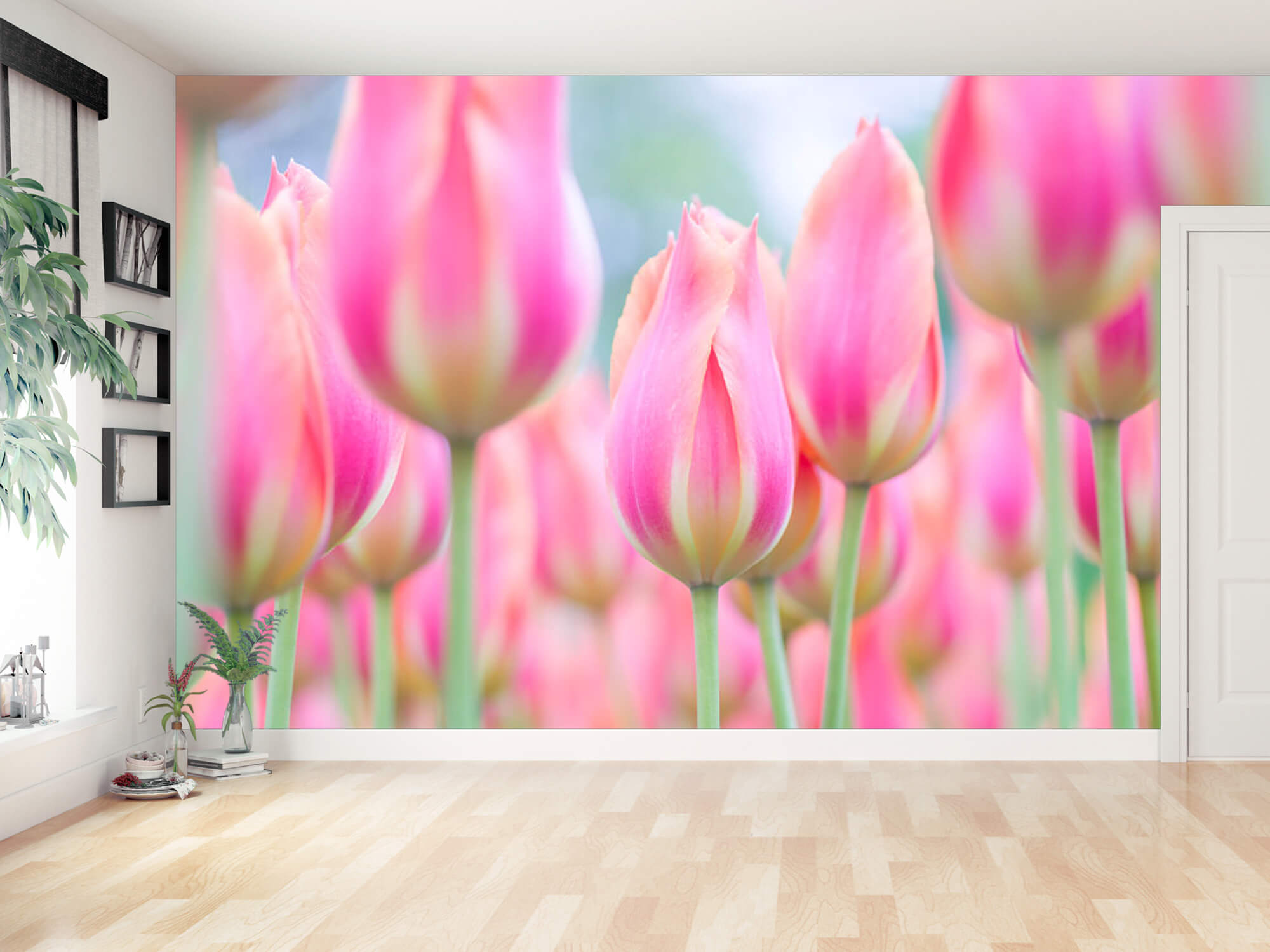  Papel pintado con Primer plano de tulipanes rosas - Pasillo 13