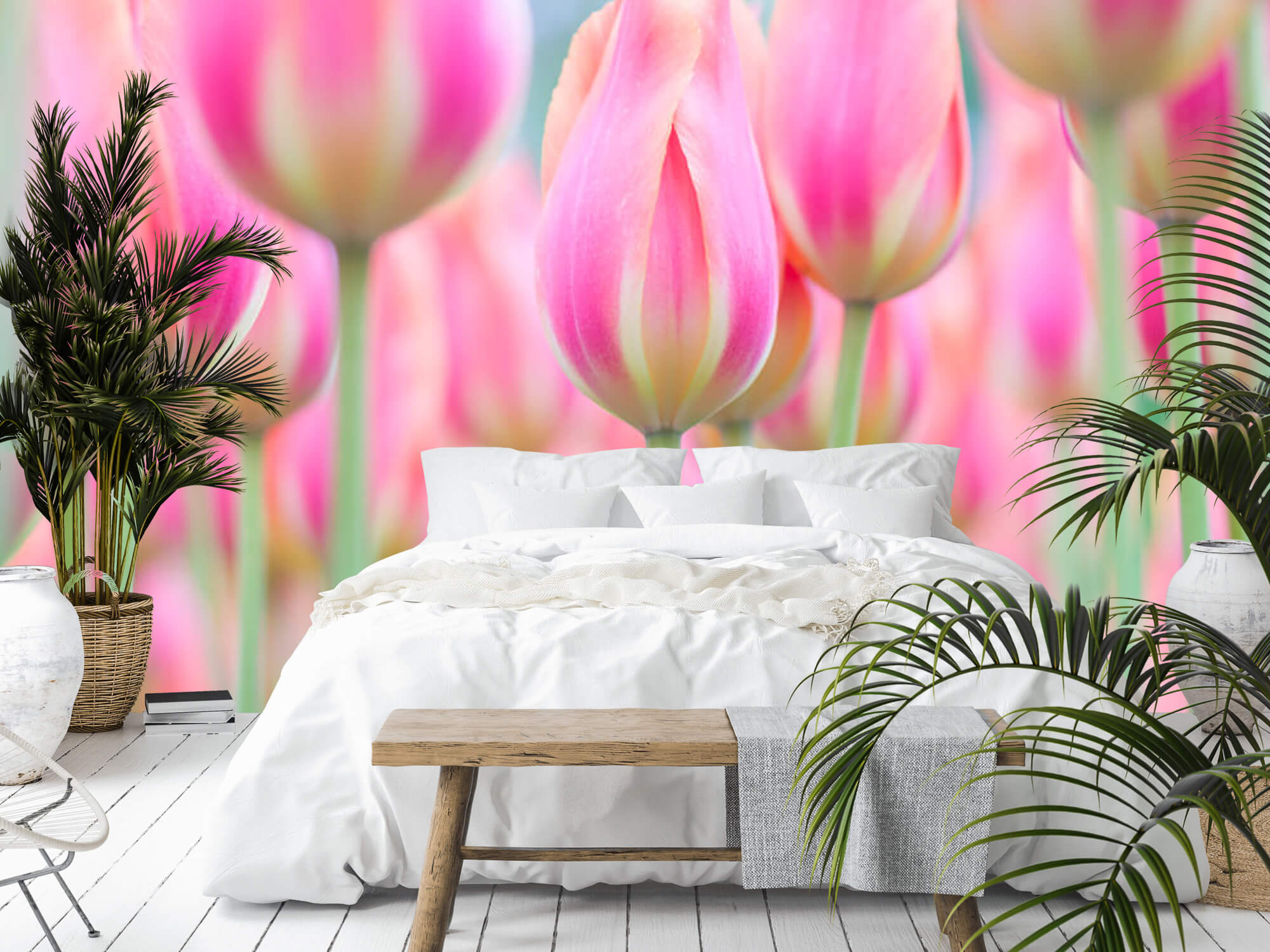  Papel pintado con Primer plano de tulipanes rosas - Pasillo 14