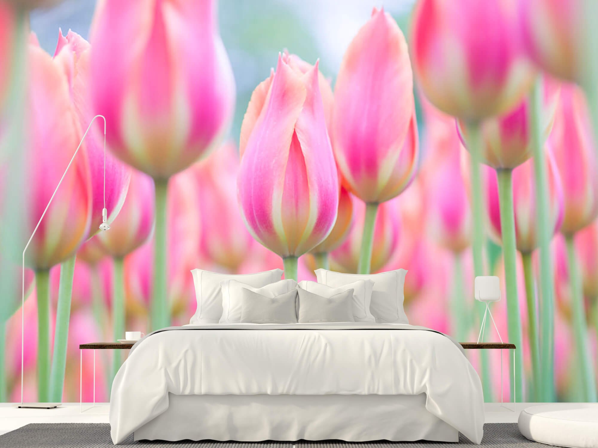  Papel pintado con Primer plano de tulipanes rosas - Pasillo 2