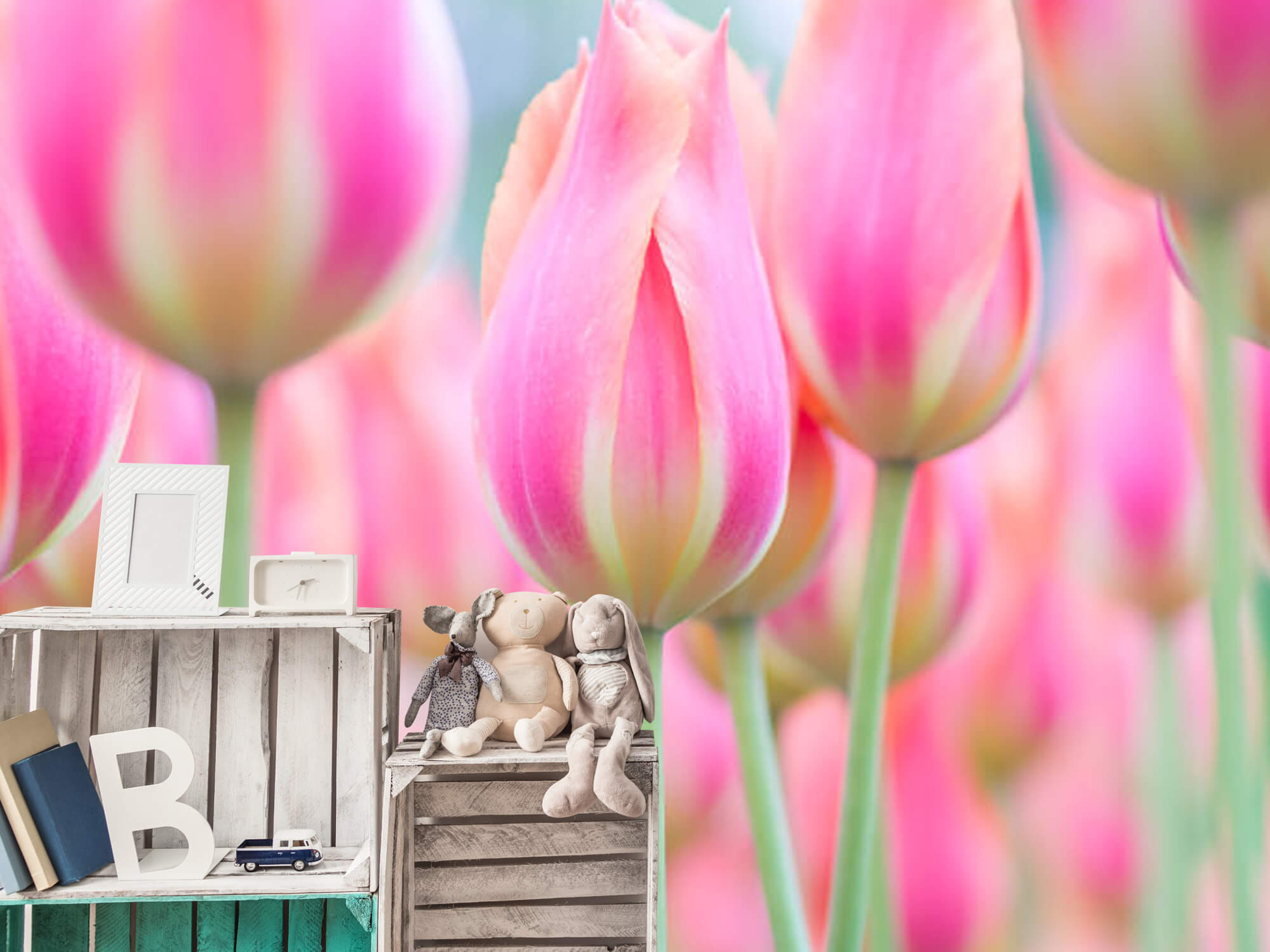  Papel pintado con Primer plano de tulipanes rosas - Pasillo 16