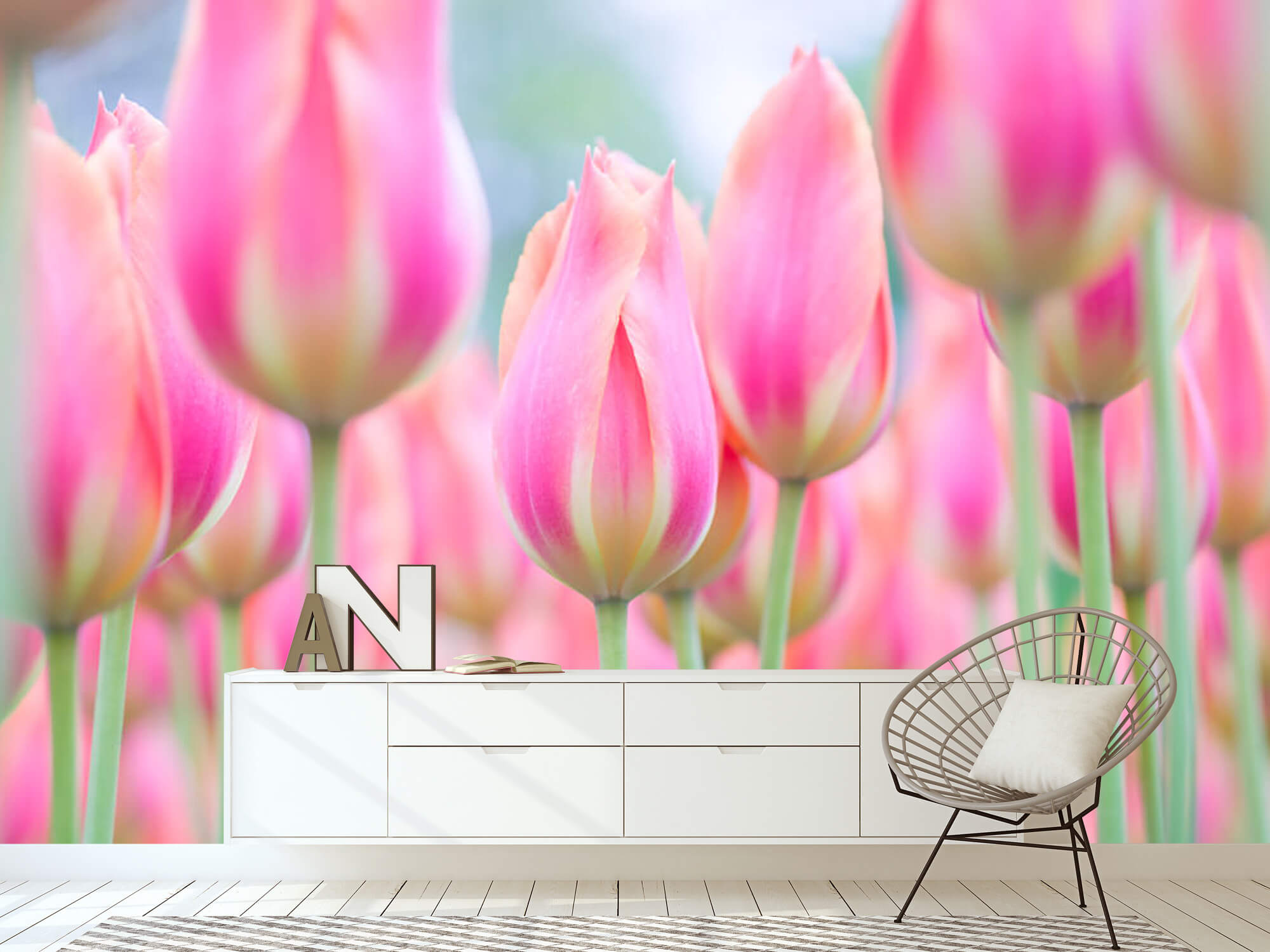  Papel pintado con Primer plano de tulipanes rosas - Pasillo 17