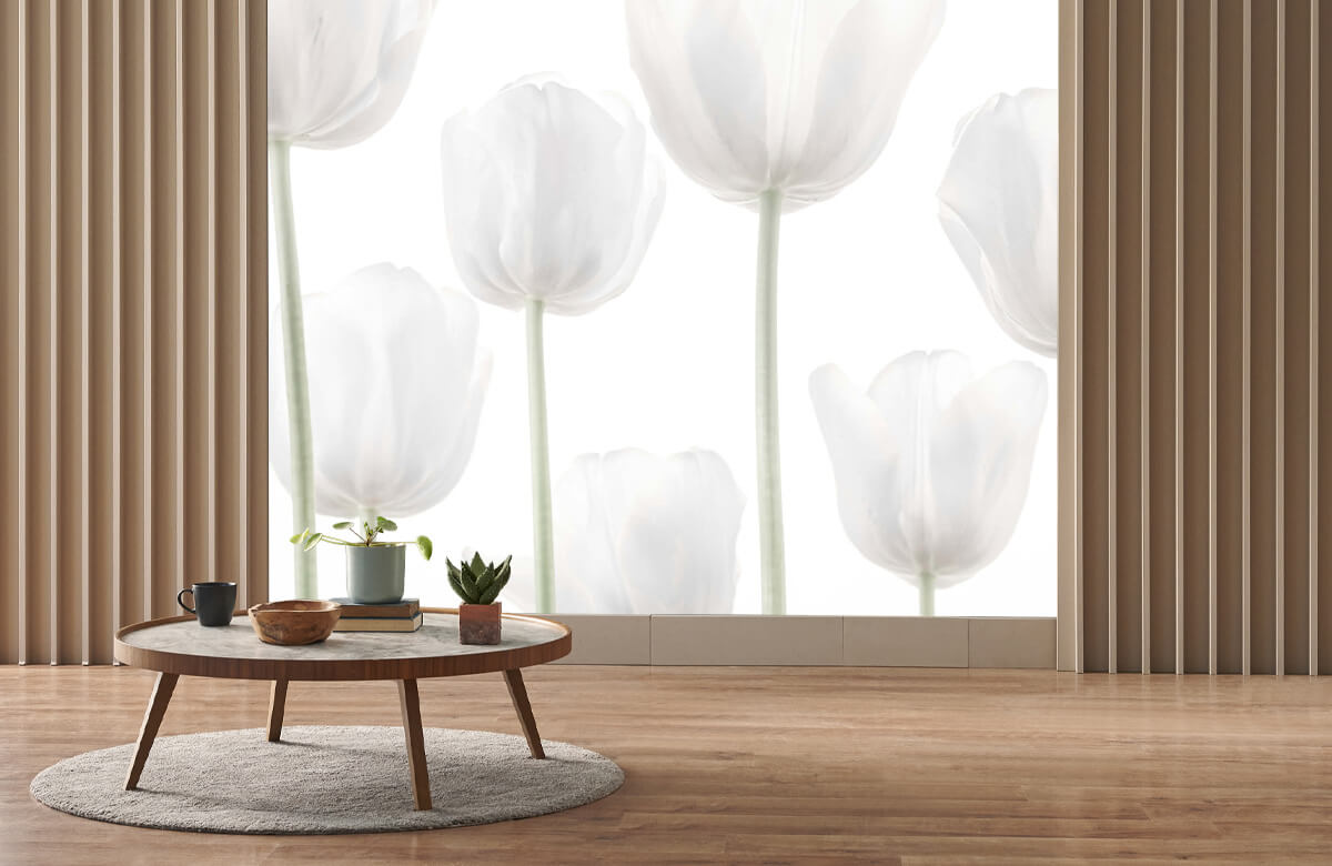 wallpaper Tulipanes blancos 2